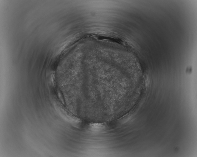 X0000113200141200910011305