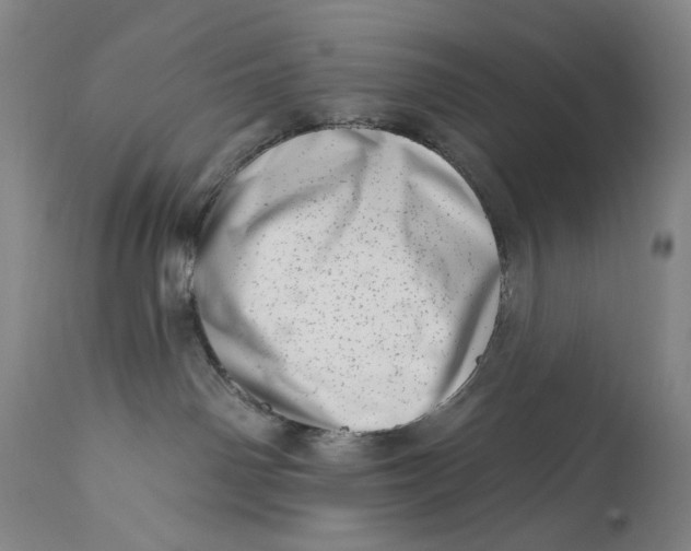 X0000113200142200910011305