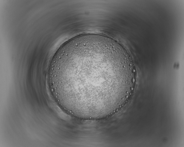 X0000113200145200910011304