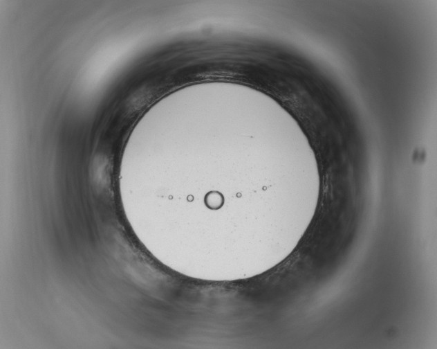 X0000113200146200910011304