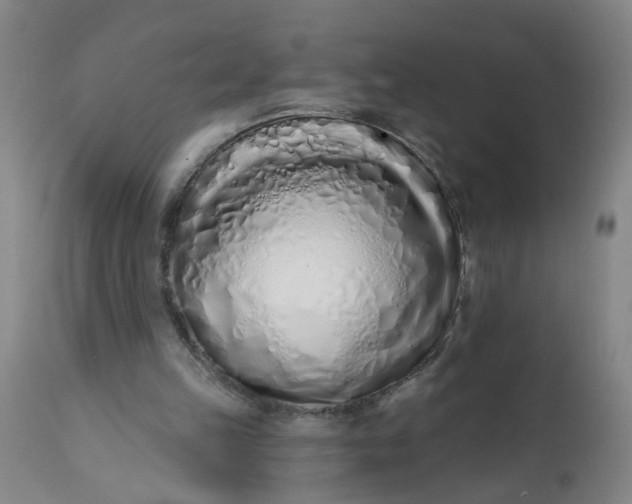 X0000113200149200910011304