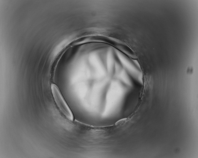 X0000113200150200910011304