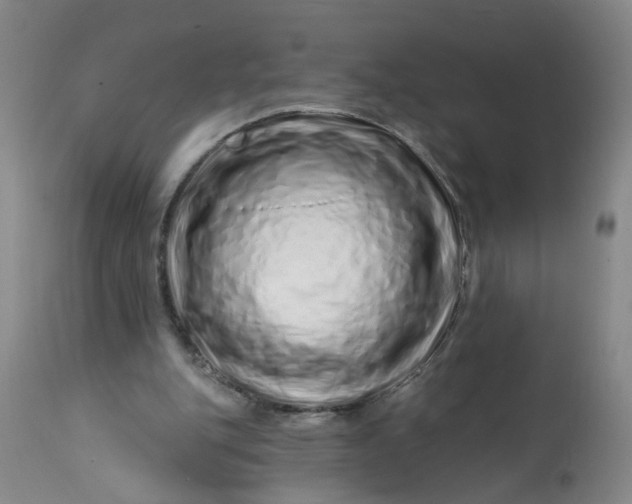 X0000113200151200910011304