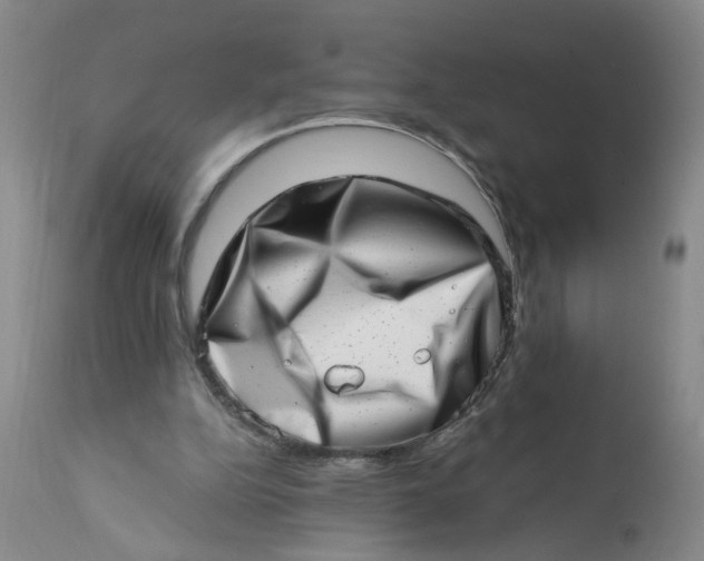 X0000113200152200910011304