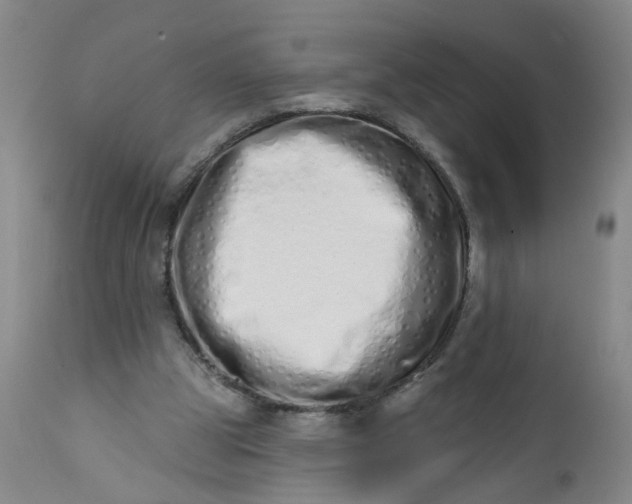 X0000113200153200910011304