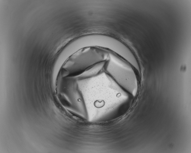 X0000113200154200910011304