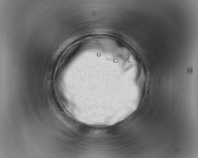 X0000113200155200910011304