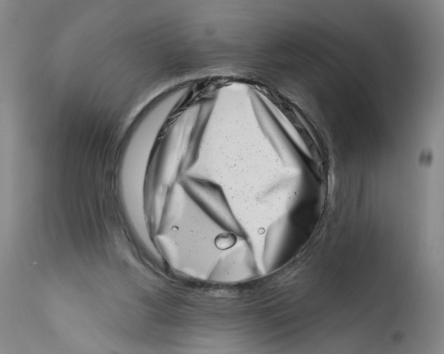 X0000113200156200910011304