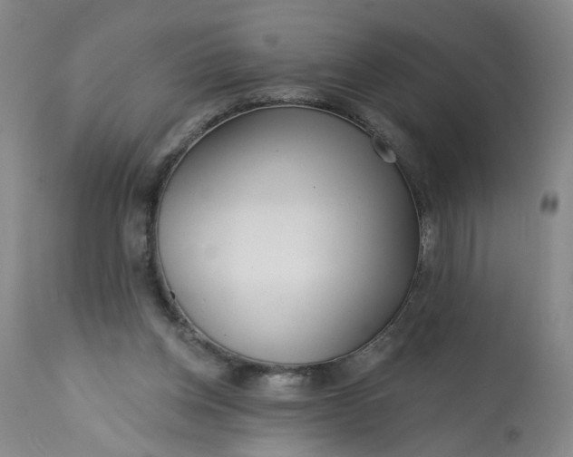 X0000113200158200910011304