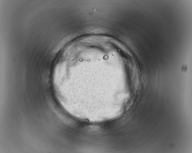 X0000113200159200910011304