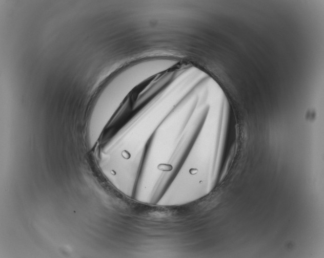 X0000113200160200910011304