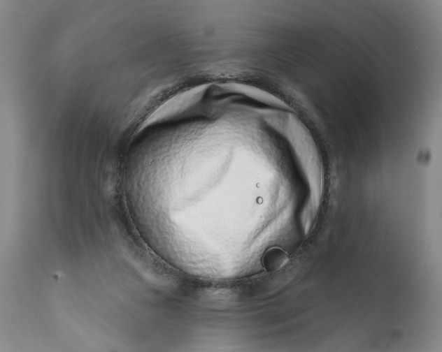 X0000113200161200910011304