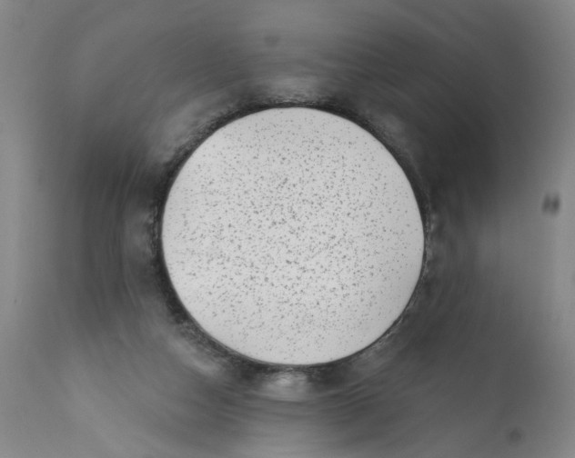 X0000113200162200910011305