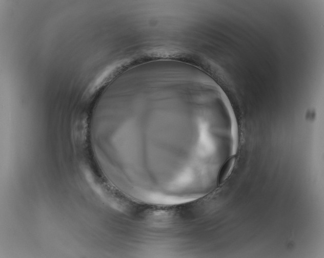 X0000113200163200910011305