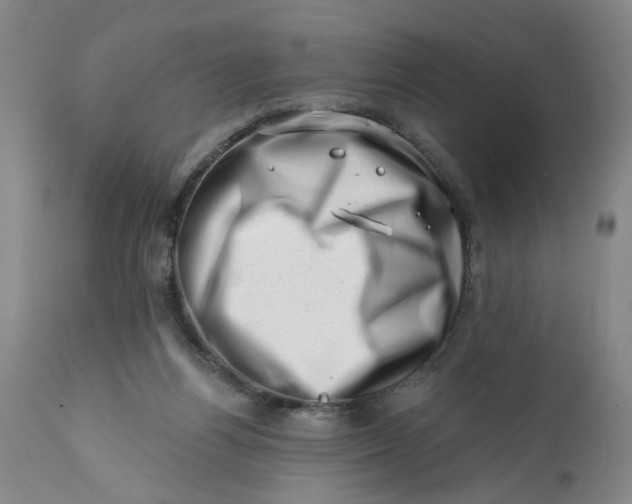 X0000113200164200910011305