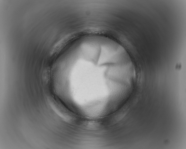 X0000113200165200910011305