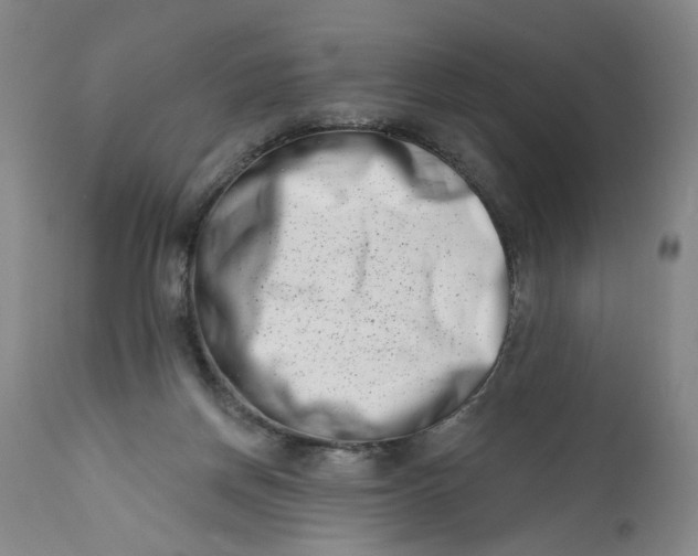 X0000113200166200910011305