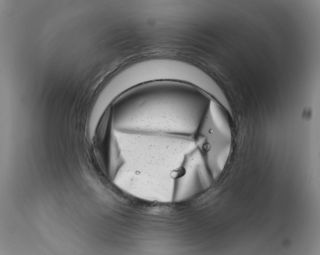 X0000113200168200910011305