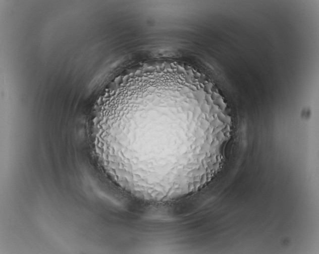 X0000113200169200910011305