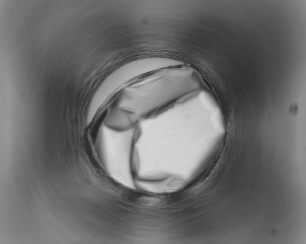 X0000113200170200910011305