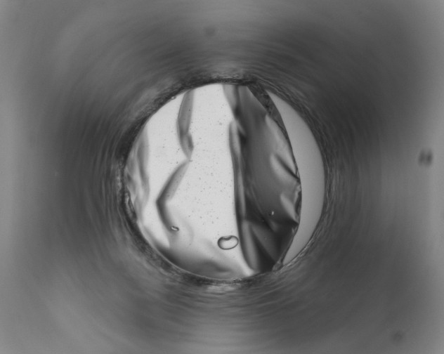 X0000113200172200910011305