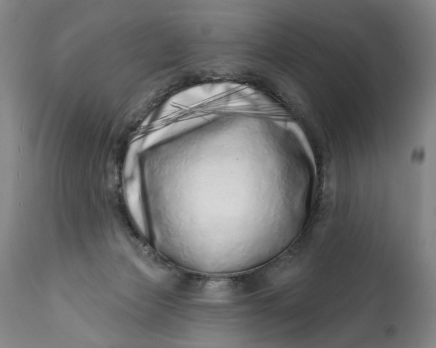 X0000113200173200910011305