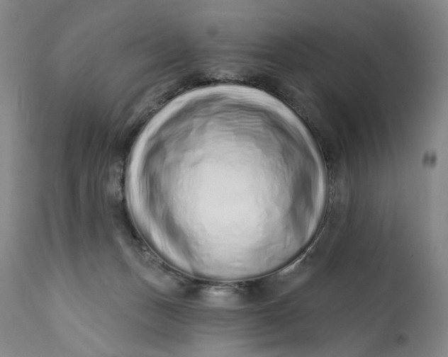 X0000113200175200910011305