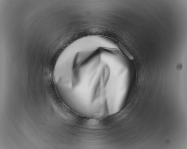 X0000113200176200910011305