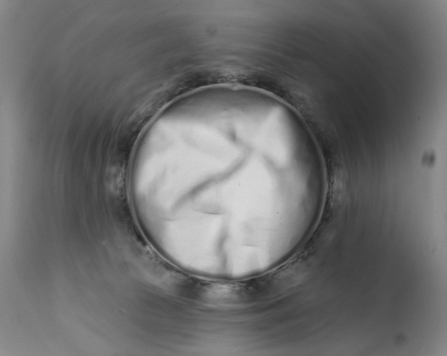 X0000113200177200910011305