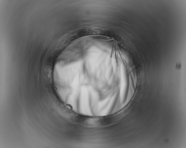 X0000113200178200910011305