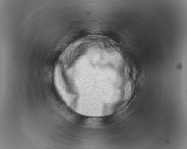 X0000113200179200910011305