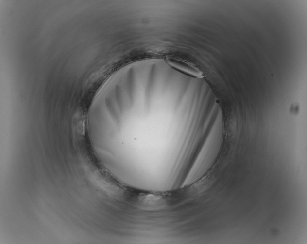 X0000113200180200910011305