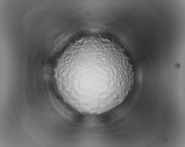 X0000113200181200910011305