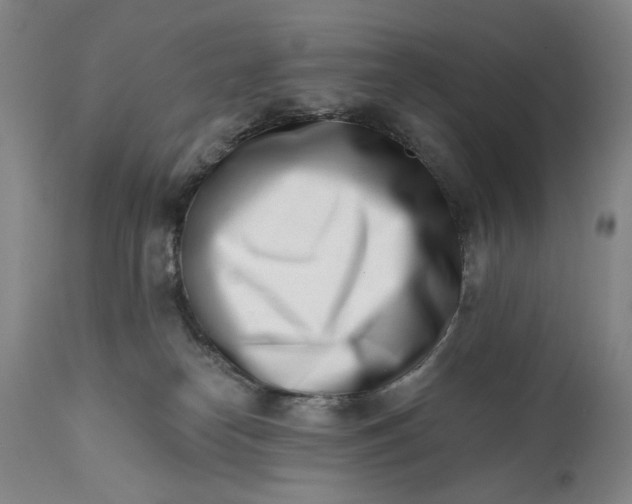 X0000113200182200910011305