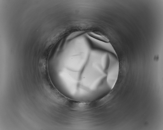 X0000113200184200910011305