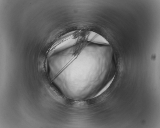 X0000113200185200910011305