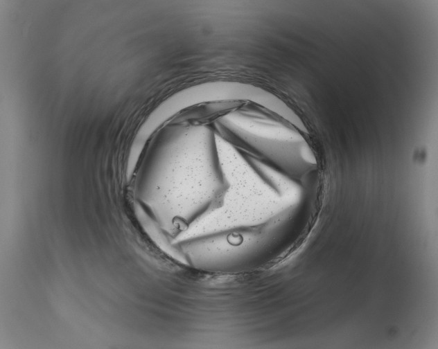 X0000113200186200910011305