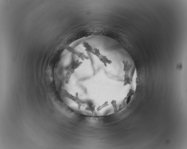 X0000113200187200910011305