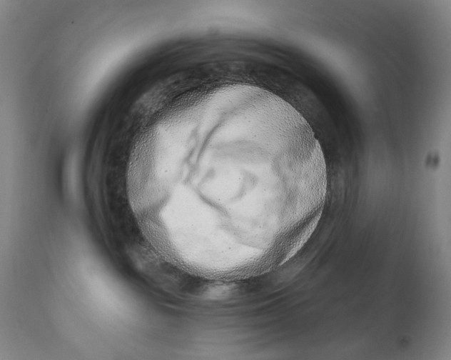 X0000113200189200910011305