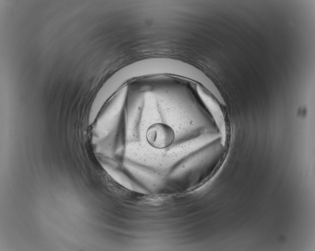 X0000113200190200910011305