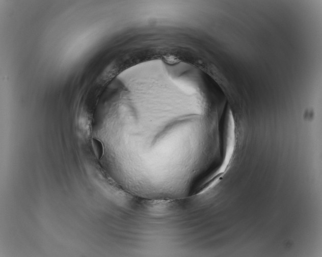 X0000113200191200910011305