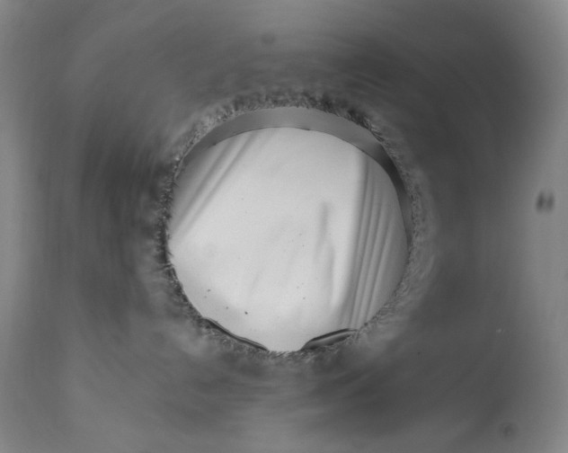 X0000113200192200910011305