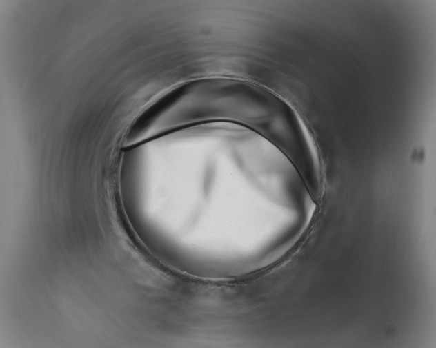 X0000113200193200910011304