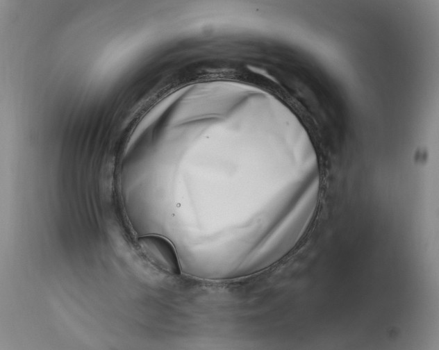 X0000113200194200910011304