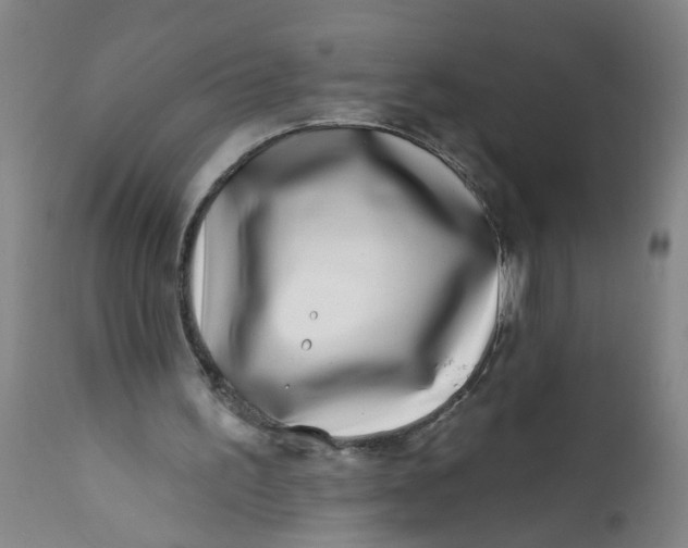 X0000113200195200910011304