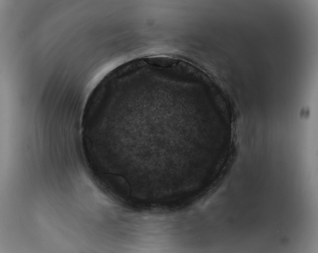 X0000113200196200910011304