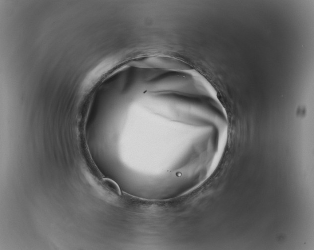 X0000113200197200910011304