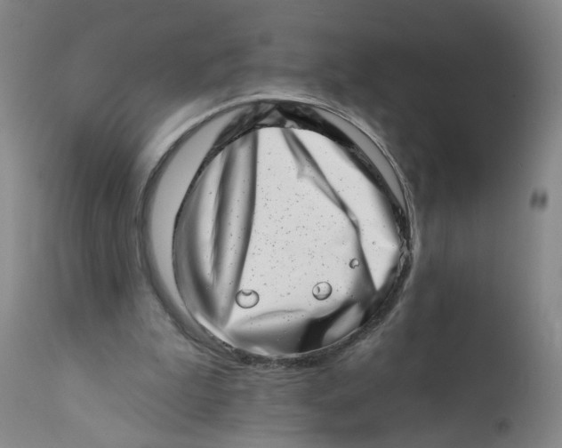 X0000113200199200910011304