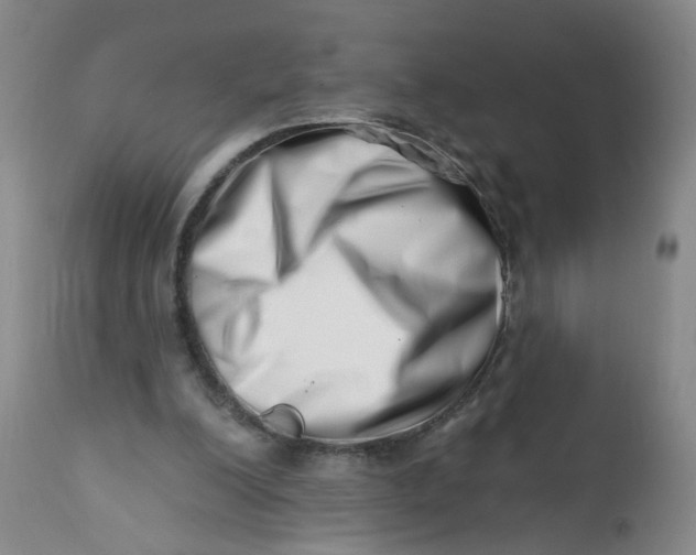 X0000113200200200910011304