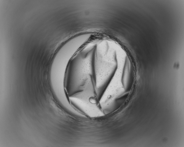 X0000113200201200910011304